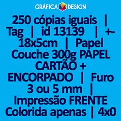 250 cópias iguais | Tag | id 13139 | +-18x5cm | Papel Couchê 300g PAPEL CARTÃO + ENCORPADO | 1 (um) Furo 3 (três) ou 5 (cinco) mm | Impressão FRENTE Colorida apenas | 4x0 cores