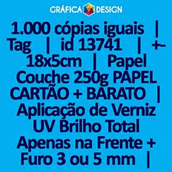 1.000 cópias iguais | Tag  | id 13741 | +-18x5cm | Papel Couchê 250g PAPEL CARTÃO + BARATO | Aplicação de Verniz UV Brilho Total Apenas na Frente + 1 (um) Furo 3 (três) ou 5 (cinco) mm | Impressão FRENTE e VERSO Coloridos | 4x4 cores