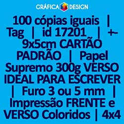 100 cópias iguais | Tag | id 17201 | 5x9cm CARTÃO PADRÃO | Papel Supremo 300g VERSO IDEAL PARA ESCREVER | 1 (um) Furo 3 (três) ou 5 (cinco) mm | Impressão FRENTE e VERSO Coloridos | 4x4 cores