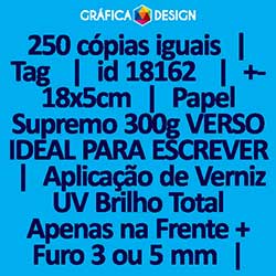250 cópias iguais | Tag  | id 18162 | +-18x5cm | Papel Supremo 300g VERSO IDEAL PARA ESCREVER | Aplicação de Verniz UV Brilho Total Apenas na Frente + 1 (um) Furo 3 (três) ou 5 (cinco) mm | Impressão FRENTE e VERSO Coloridos | 4x4 cores