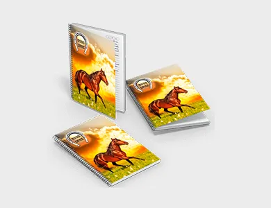 Caderno com Espiral Capa Maleável 20x27,5 96 folhas Capa 4x0 Supremo - 4x0
